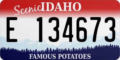ID license plate E134673