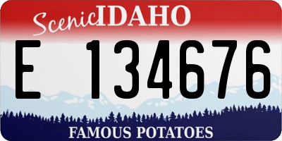 ID license plate E134676