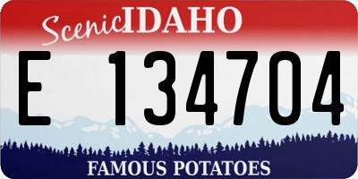 ID license plate E134704