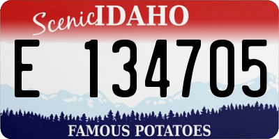 ID license plate E134705