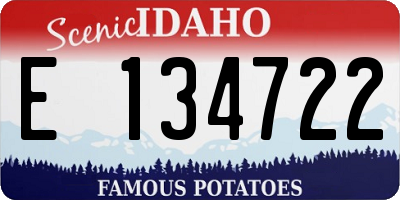 ID license plate E134722