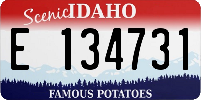 ID license plate E134731