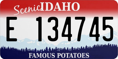 ID license plate E134745