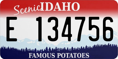 ID license plate E134756