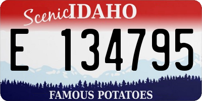 ID license plate E134795