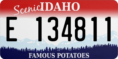 ID license plate E134811