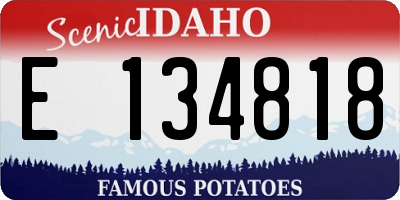 ID license plate E134818
