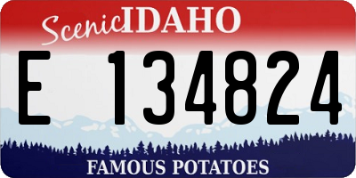 ID license plate E134824