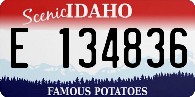 ID license plate E134836