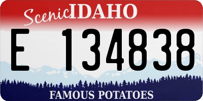 ID license plate E134838