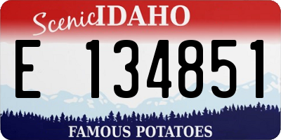 ID license plate E134851