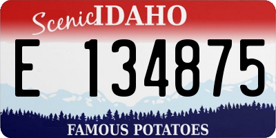 ID license plate E134875