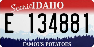 ID license plate E134881