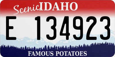 ID license plate E134923