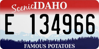 ID license plate E134966