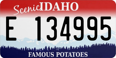 ID license plate E134995