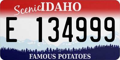 ID license plate E134999