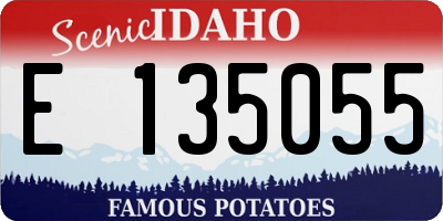 ID license plate E135055