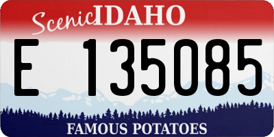 ID license plate E135085
