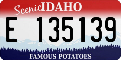 ID license plate E135139