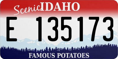ID license plate E135173