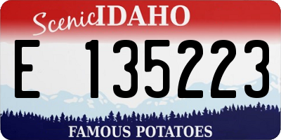 ID license plate E135223