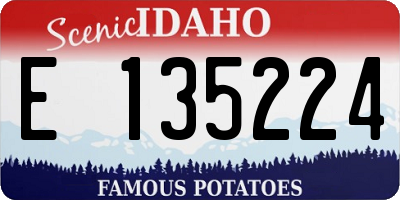 ID license plate E135224