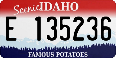 ID license plate E135236
