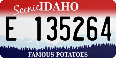 ID license plate E135264