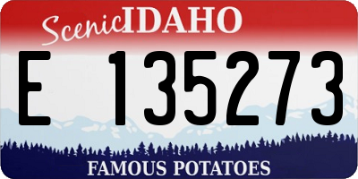 ID license plate E135273