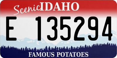 ID license plate E135294