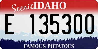 ID license plate E135300