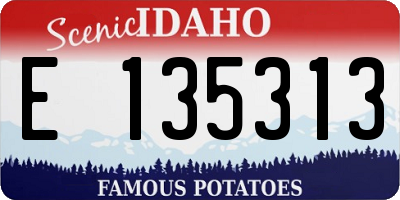 ID license plate E135313