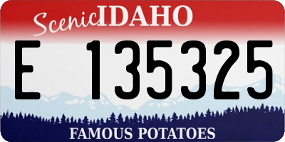 ID license plate E135325