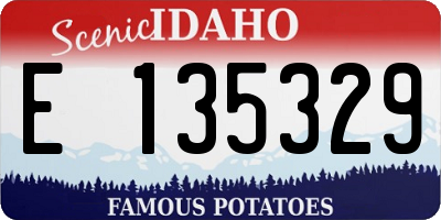 ID license plate E135329