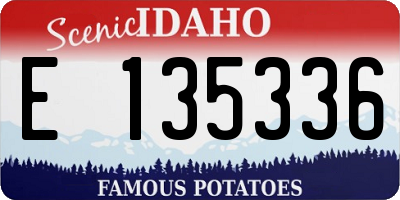 ID license plate E135336