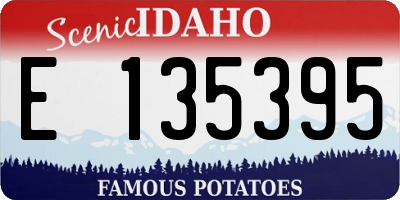 ID license plate E135395