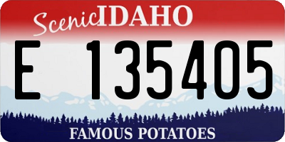 ID license plate E135405
