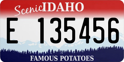 ID license plate E135456
