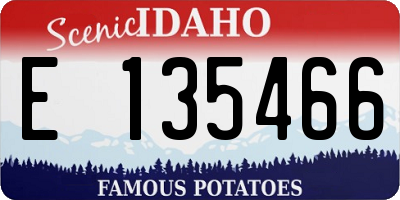 ID license plate E135466