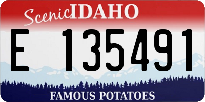 ID license plate E135491