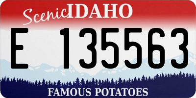 ID license plate E135563