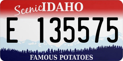 ID license plate E135575