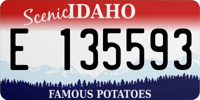 ID license plate E135593