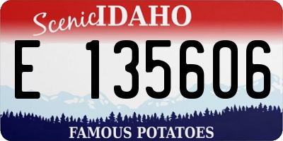 ID license plate E135606