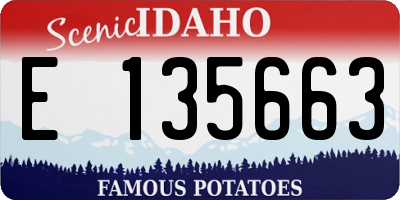 ID license plate E135663