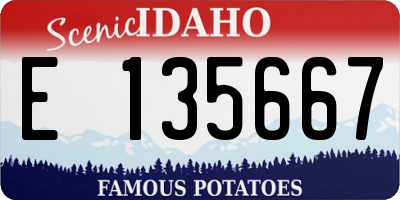 ID license plate E135667