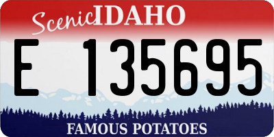 ID license plate E135695
