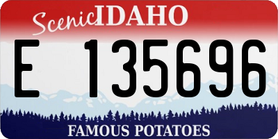 ID license plate E135696
