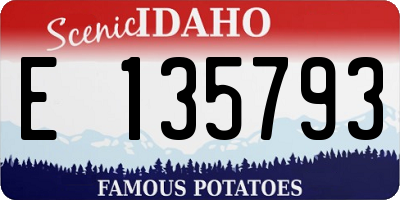 ID license plate E135793